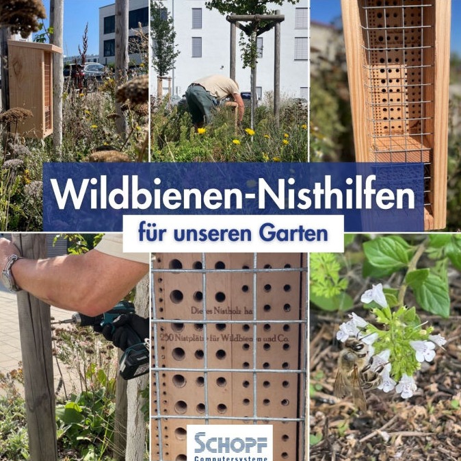 Wildbienen